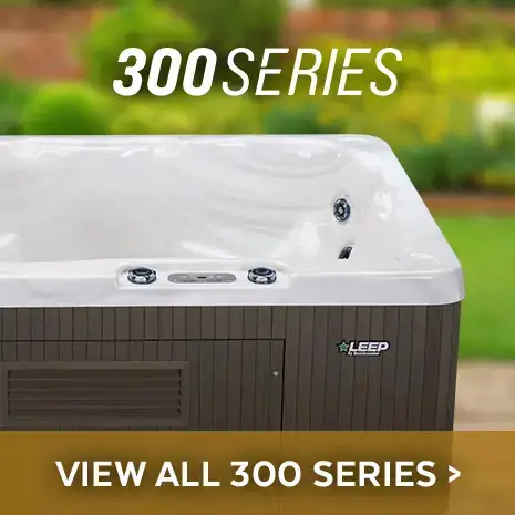 300 Series